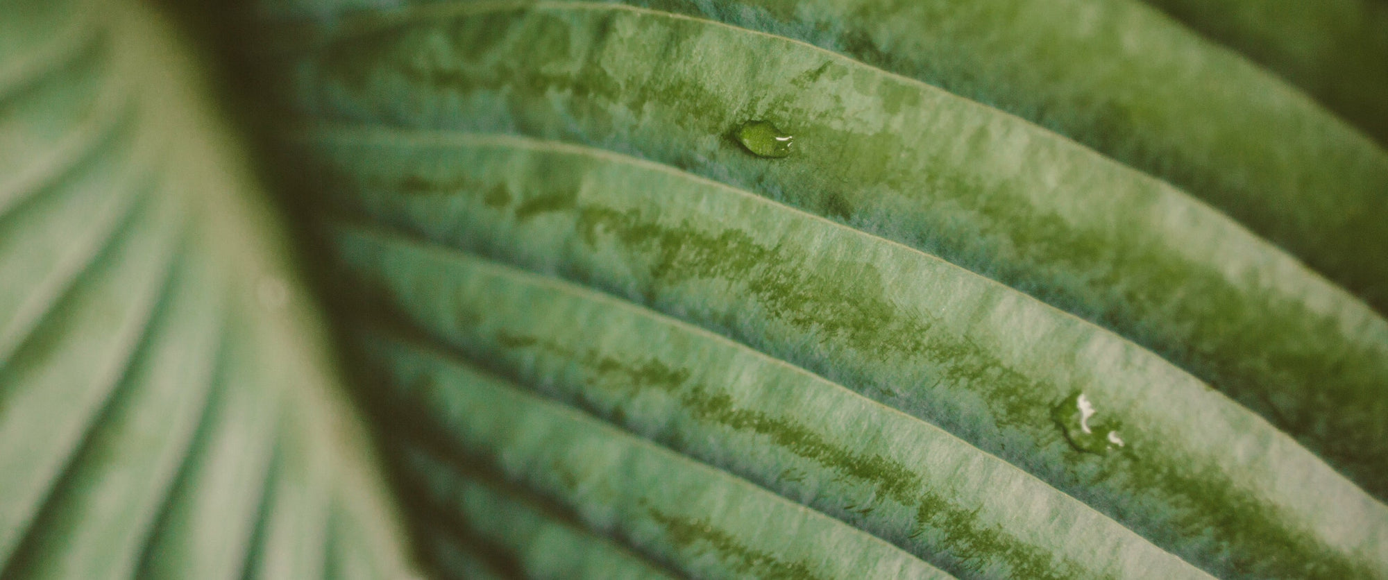 Earth Day: It all starts with us