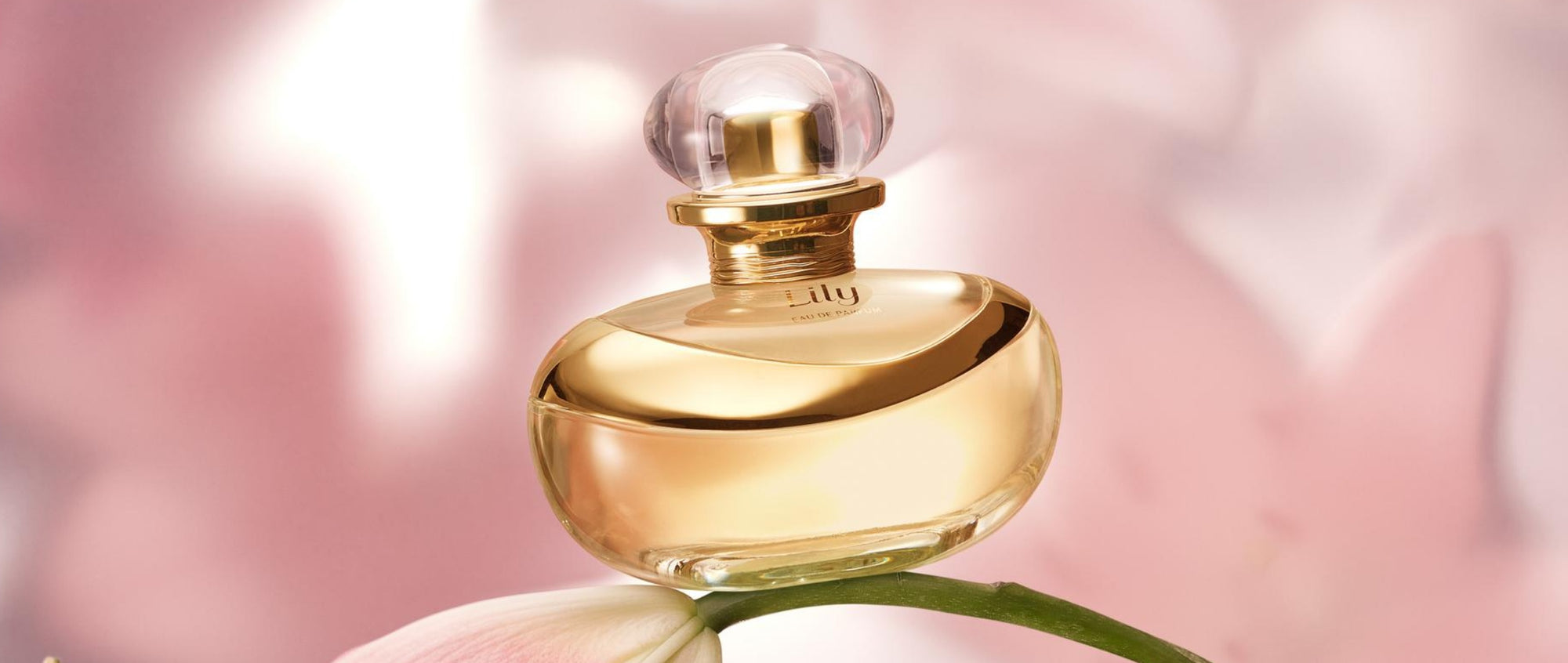 Fall Fragrance Selection: Discover the Perfect Scents for the Season