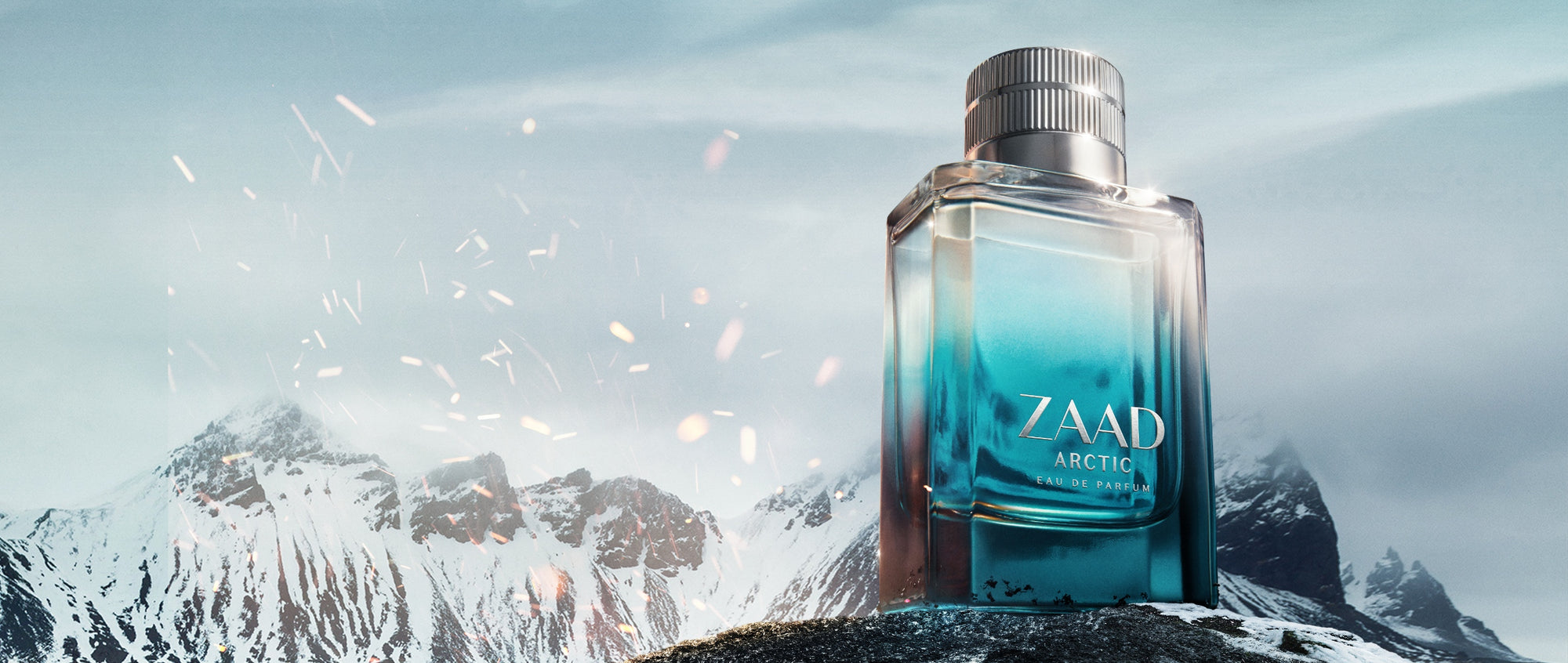 Discover the Secrets of Zaad Arctic