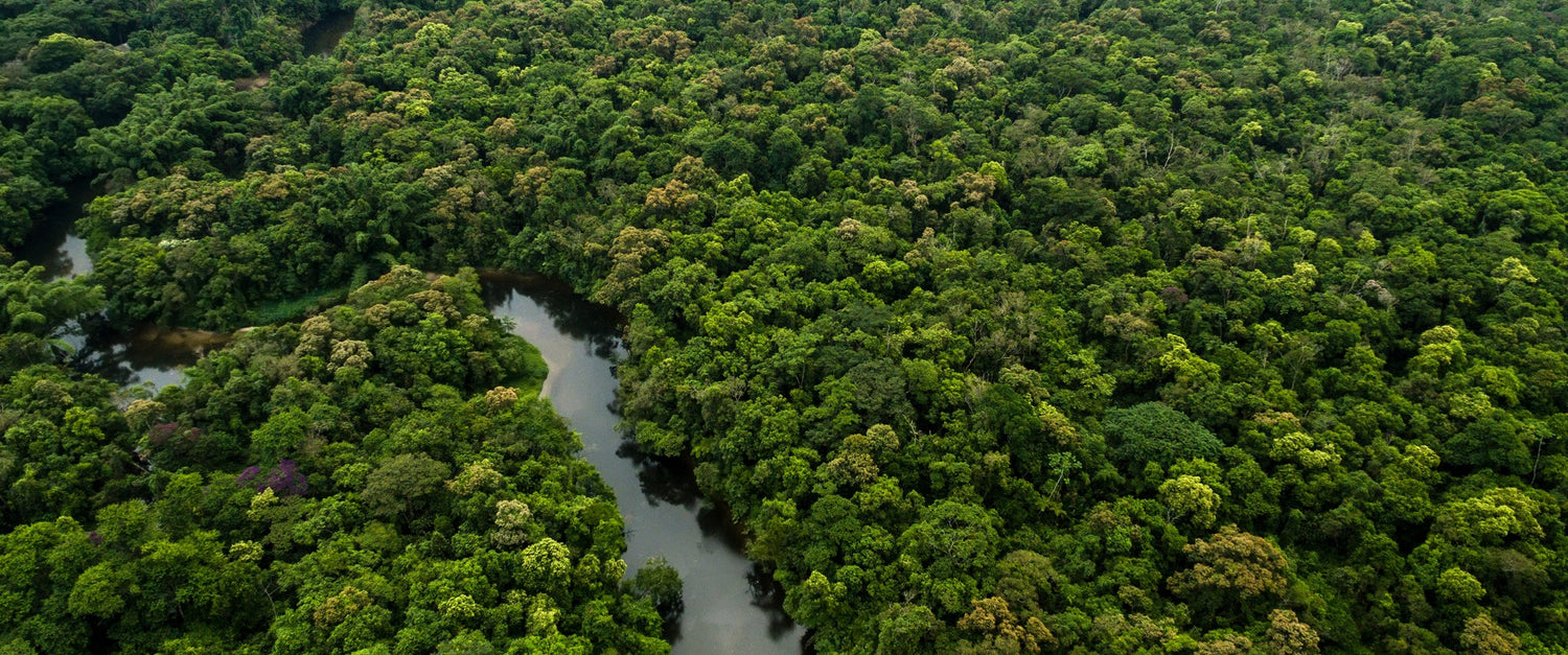 Why Does Carbon Neutral Shipping Matter?