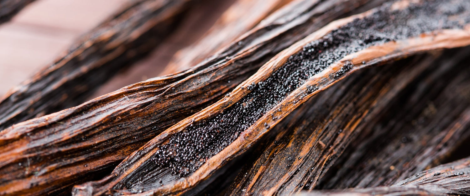 Exploring Origins: Where Does Vanilla Come From?