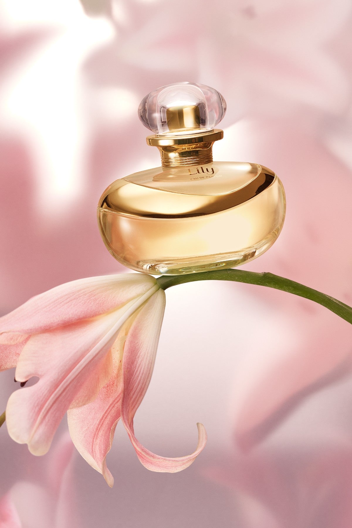 Lily Eau De Parfum, 75ml